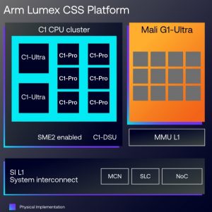arm