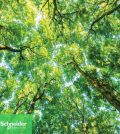 Schneider Electric