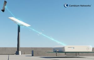 Cambium