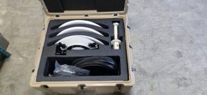 cambium
