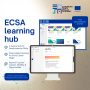 ecsa
