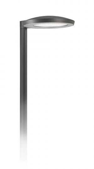 Signify