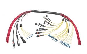 Molex