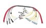 Molex